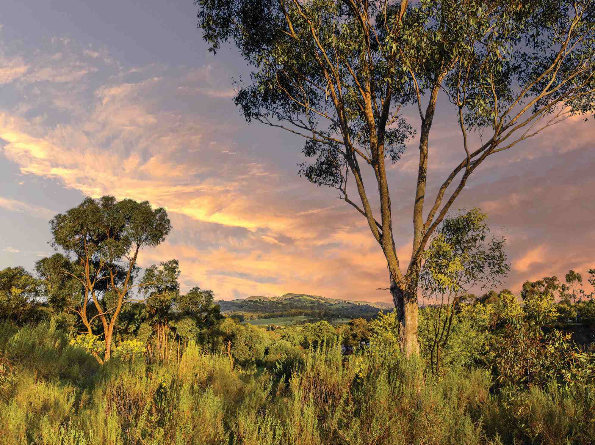 [Land for Sale] Albero Rise Estate, Broadford OpenLot